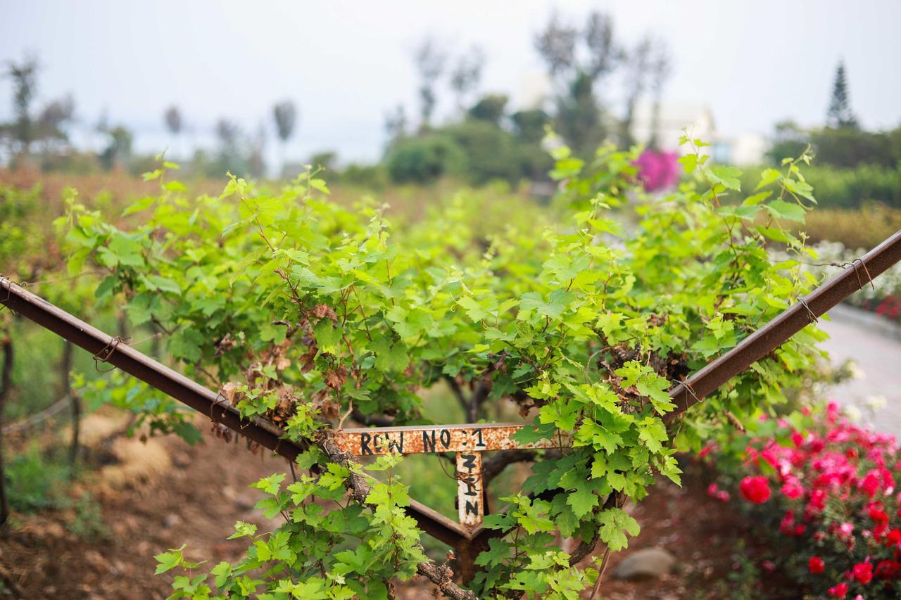 V Resorts Soma Vine Village Mahirāvani エクステリア 写真