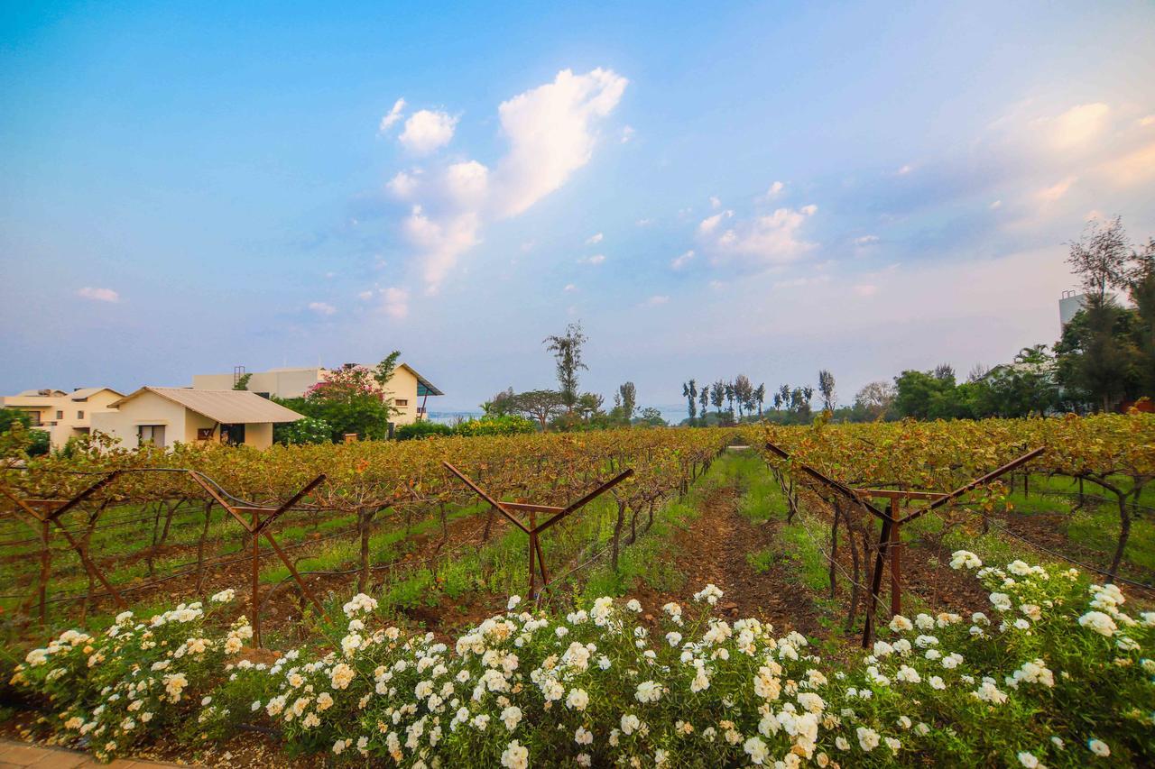 V Resorts Soma Vine Village Mahirāvani エクステリア 写真
